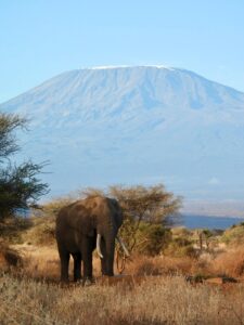 Kilimandjaro